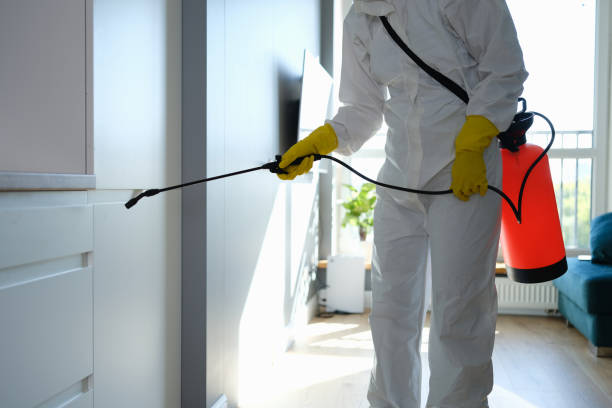 Best Attic Mold Removal  in Alma, NE