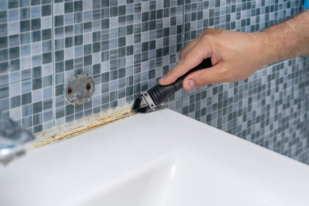 Best Commercial Mold Removal  in Alma, NE